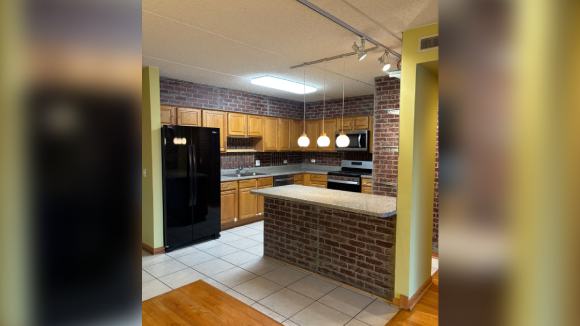 IZDAJEM STAN U CIKAGU