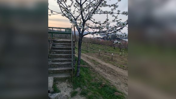 NA PRODAJU PLAC SA KUCOM U RITOPEKU (BEOGRAD, SRBIJA)