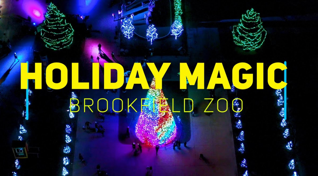 Poslednja prilika da posetite “Holiday Magic” u zoološkom vrtu Brookfield