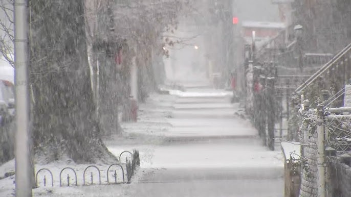 Predviđa se „istorijski jak“ El Niño fenomen tokom zimske sezone