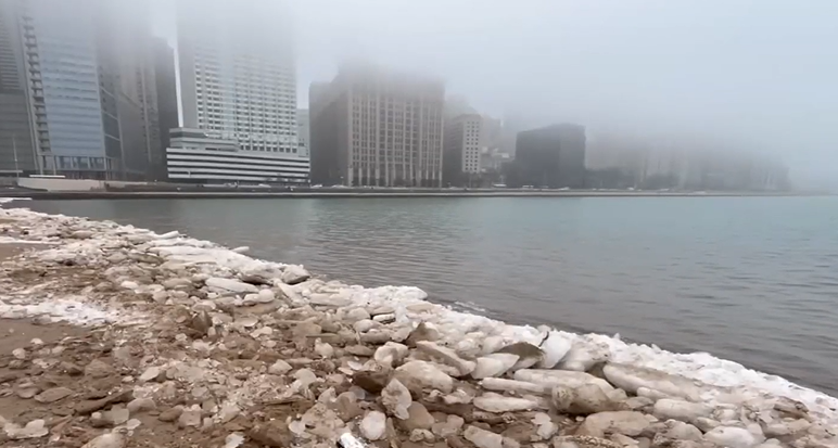 Misteriozna smrt ptica na obali jezera Michigan: Stručnjaci otkrivaju uzrok