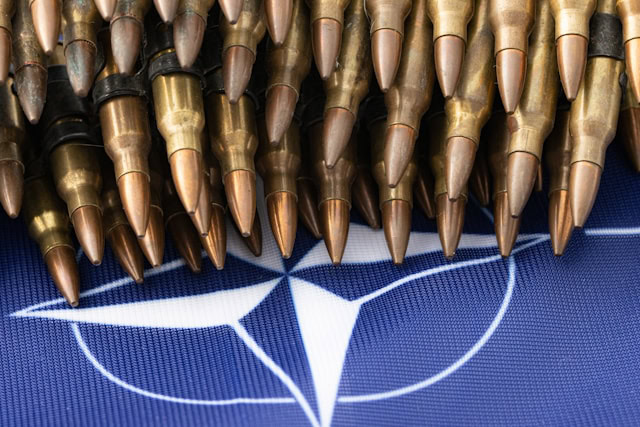 Kaja Kalas: NATO pruža najbolju bezbednosnu garanciju za Ukrajinu