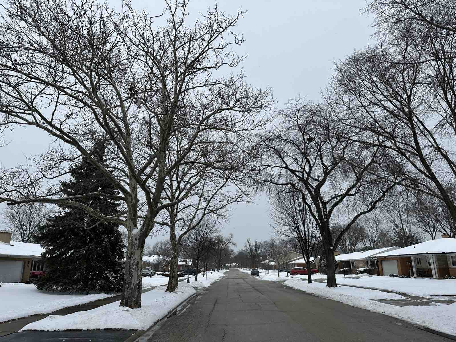 Najmanje snega u Čikagu u poslednjih 88 godina