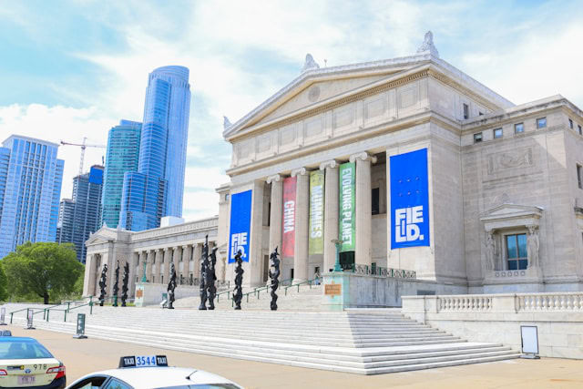 Besplatan ulaz u muzeje u Čikagu tokom prolećnog raspusta