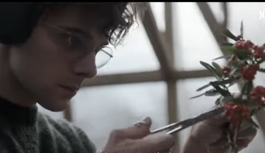 The Gardener: Nova triler serija koja je oduševila gledaoce (VIDEO)