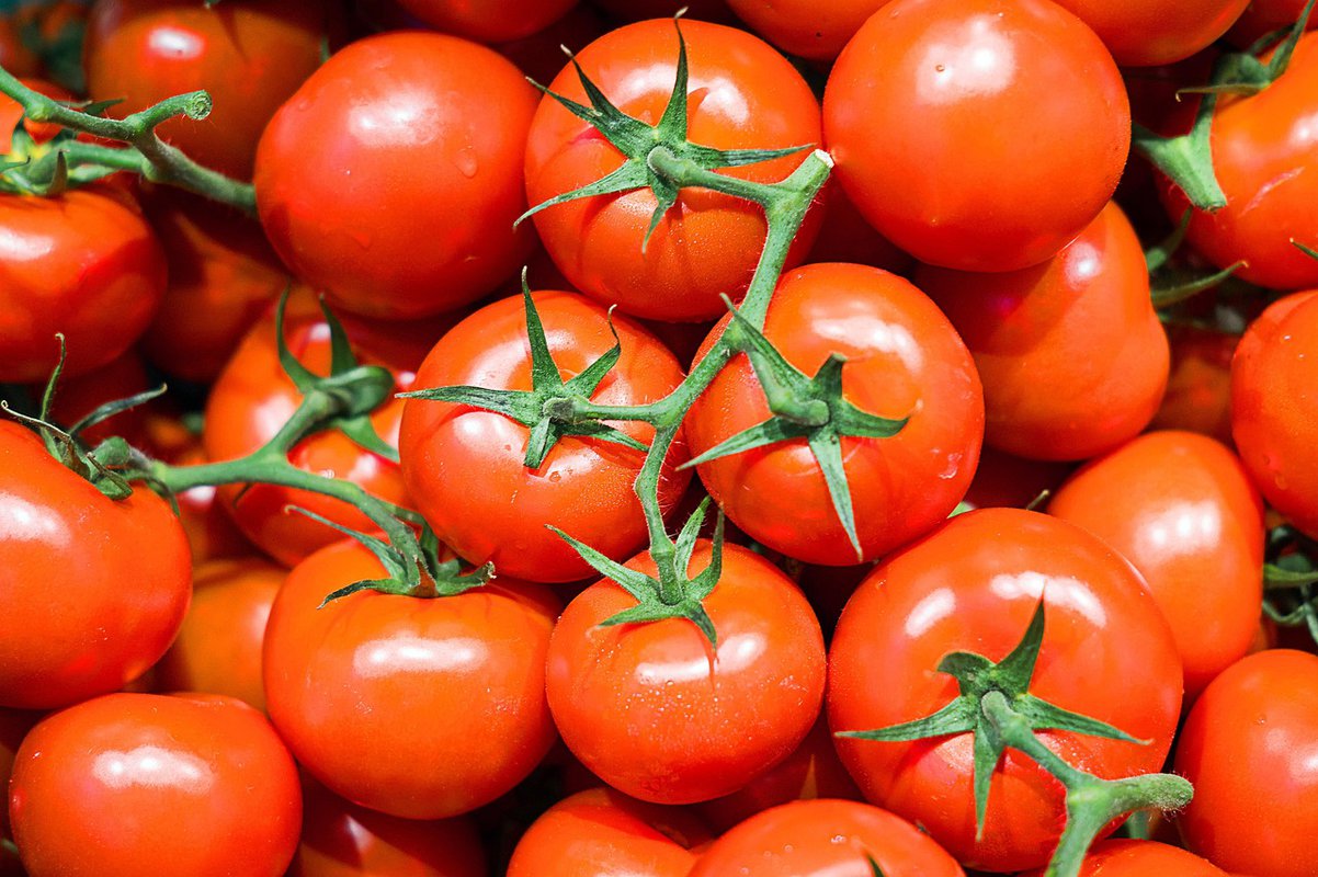 Paradajz povučen iz prodaje u 11 saveznih država, uključujući Illinois, zbog sumnje na salmonelu