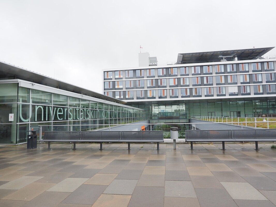 Amerika gubi talente: Sve više studenata i istraživača bira Evropu za doktorske studije