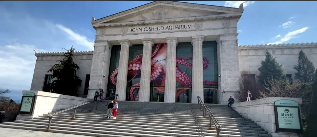 Shedd akvarijum u Čikagu slavi 95 godina postojanja i najavljuje velike promene