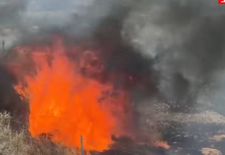 "Madre" guta sve pred sobom: Najveći šumski požar u Kaliforniji nastavlja nekontrolisano da se širi