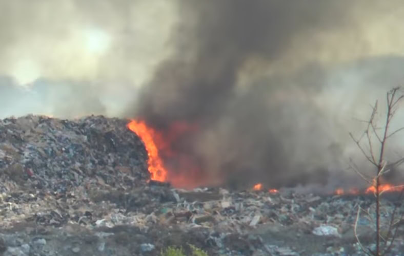 Vojska Srbije se uključila i pomaže u gašenju požara koji bukte širom zemlje