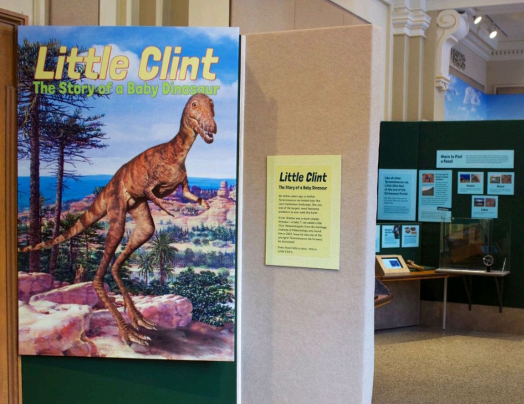 Dinosaurusi kao nikada do sada: Dobrodošli u Dinosaur Discovery Museum