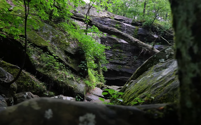 Otkrivamo skriveni dragulj Ilinoisa: Čudesni Shawnee National Forest (VIDEO)
