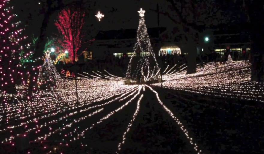Više od 3 miliona lampica: Počela prodaja karata za čuveni Zoolights u Lincoln Park Zoo