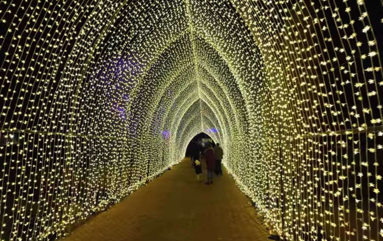 Čarolija svetlosti se vraća: Lightscape u Chicago Botanic Garden-u od 14. novembra do 4. januara