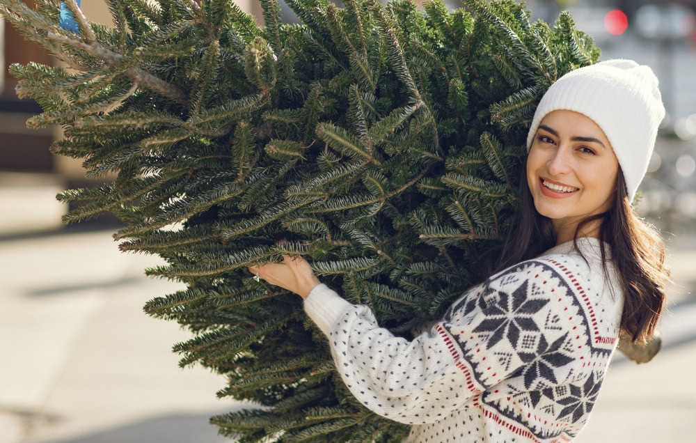 Čikago otvara 27 lokacija za reciklažu božićnih jelki – evo gde i kada