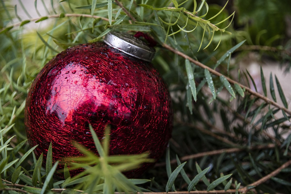 Sivi Božić u Čikagu: Kiša, magla i prolećne temperature umesto snega