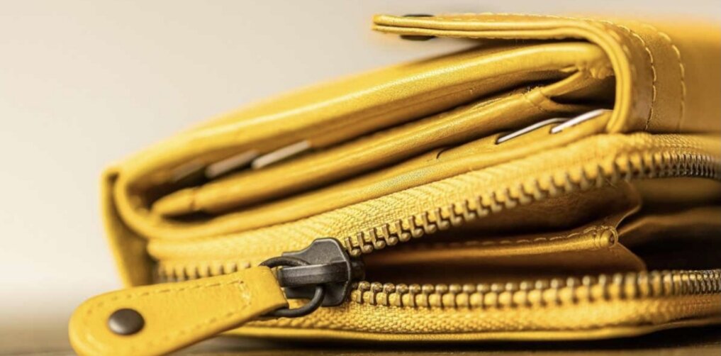 Hoće li u 2026. novčanici u Srbiji biti puniji i koji poslovi će biti najisplativiji