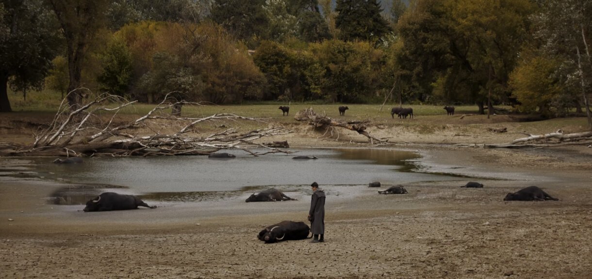 Izašao novi trejler za Senke 3: Bjelogrlić razotkriva tajne igre moći