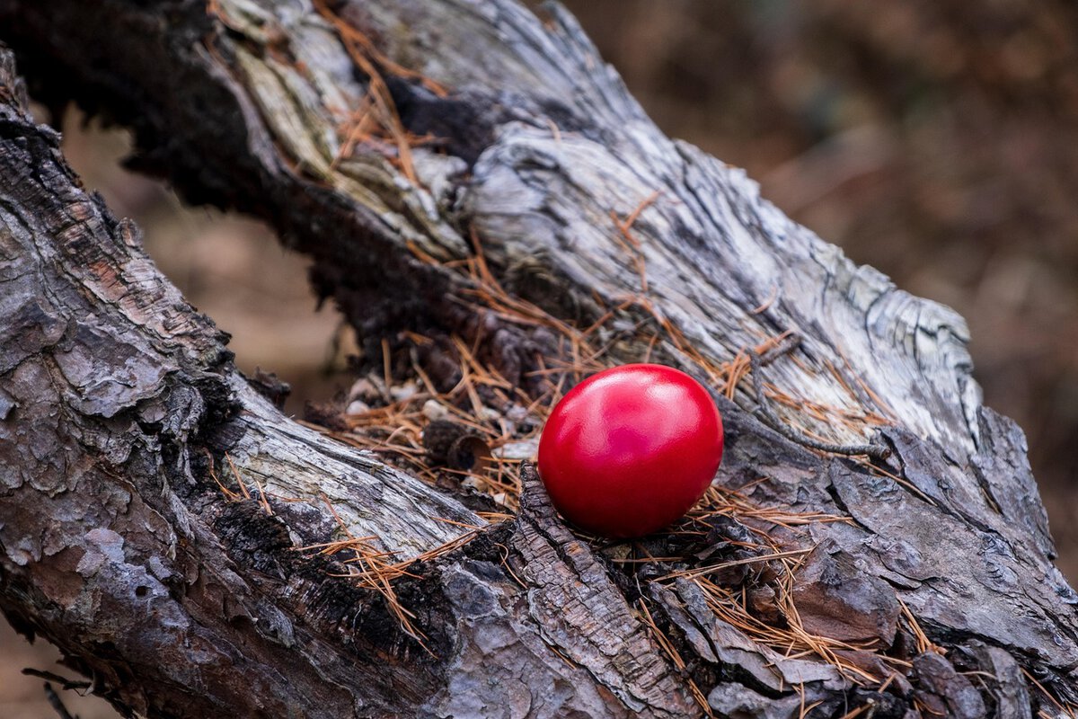 Zašto se čuvarkuća, prvo ofarbano jaje, čuva cele godine