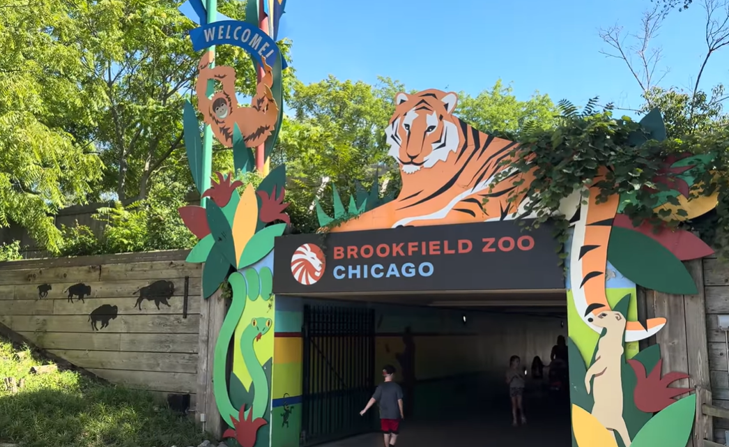 Štrajk radnika potresao Brookfield Zoo – Posetioci upozoreni