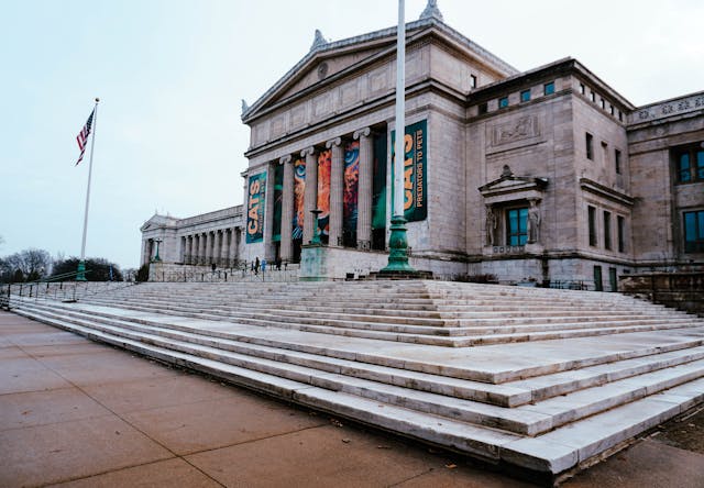 Pokémon ludilo u Čikagu: Field Museum otvara izložbu koja ruši rekorde