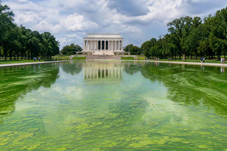 Trump-ova administracija okrivila Obama-u nakon što je čuveno jezero ispred Lincoln Memorial ponovo pozelenelo uprkos renoviranju od $14 miliona