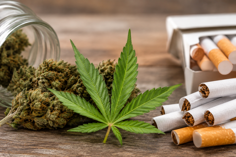 Istorijski preokret u SAD: Više Amerikanaca svakodnevno koristi marihuanu nego cigarete