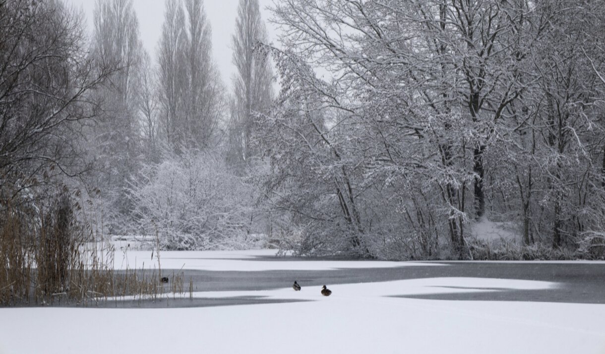 Kakva zima čeka Čikago? Prognoze potpuno različite, a Super El Niño mogao bi sve da promeni