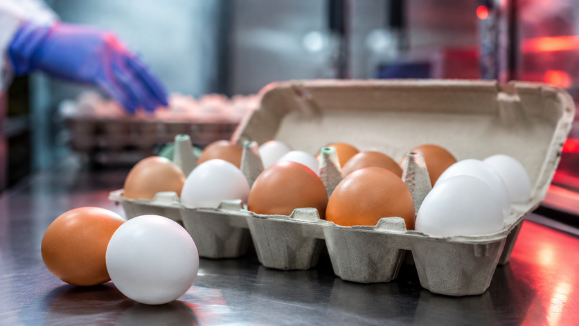 Hitno povlačenje 19 miliona jaja u SAD: FDA podigla upozorenje na najviši nivo zbog salmonele