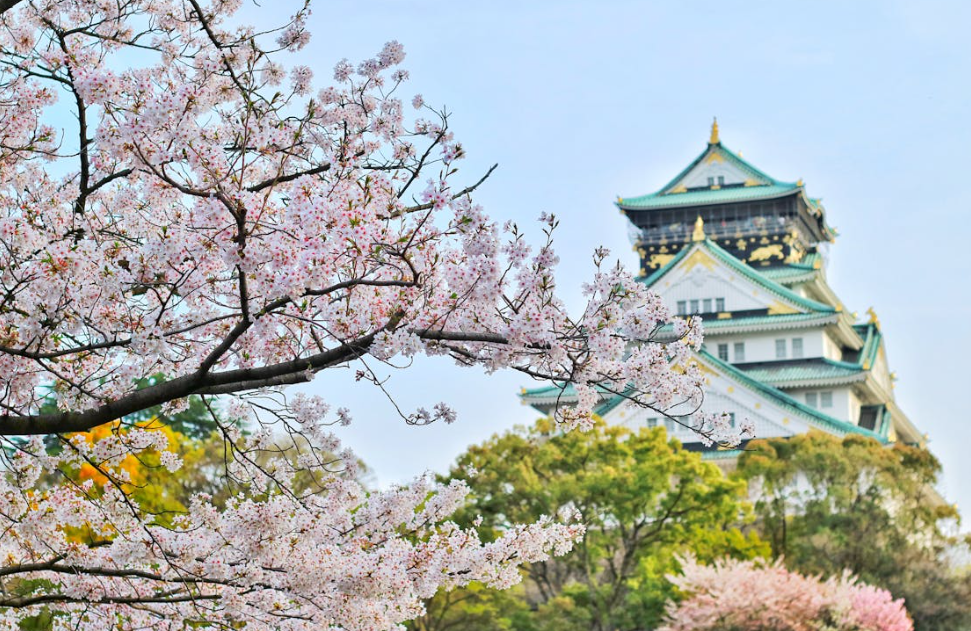 Jedinstveni život japanskih porodica: Šest pravila poštuju kao nešto najsvetije