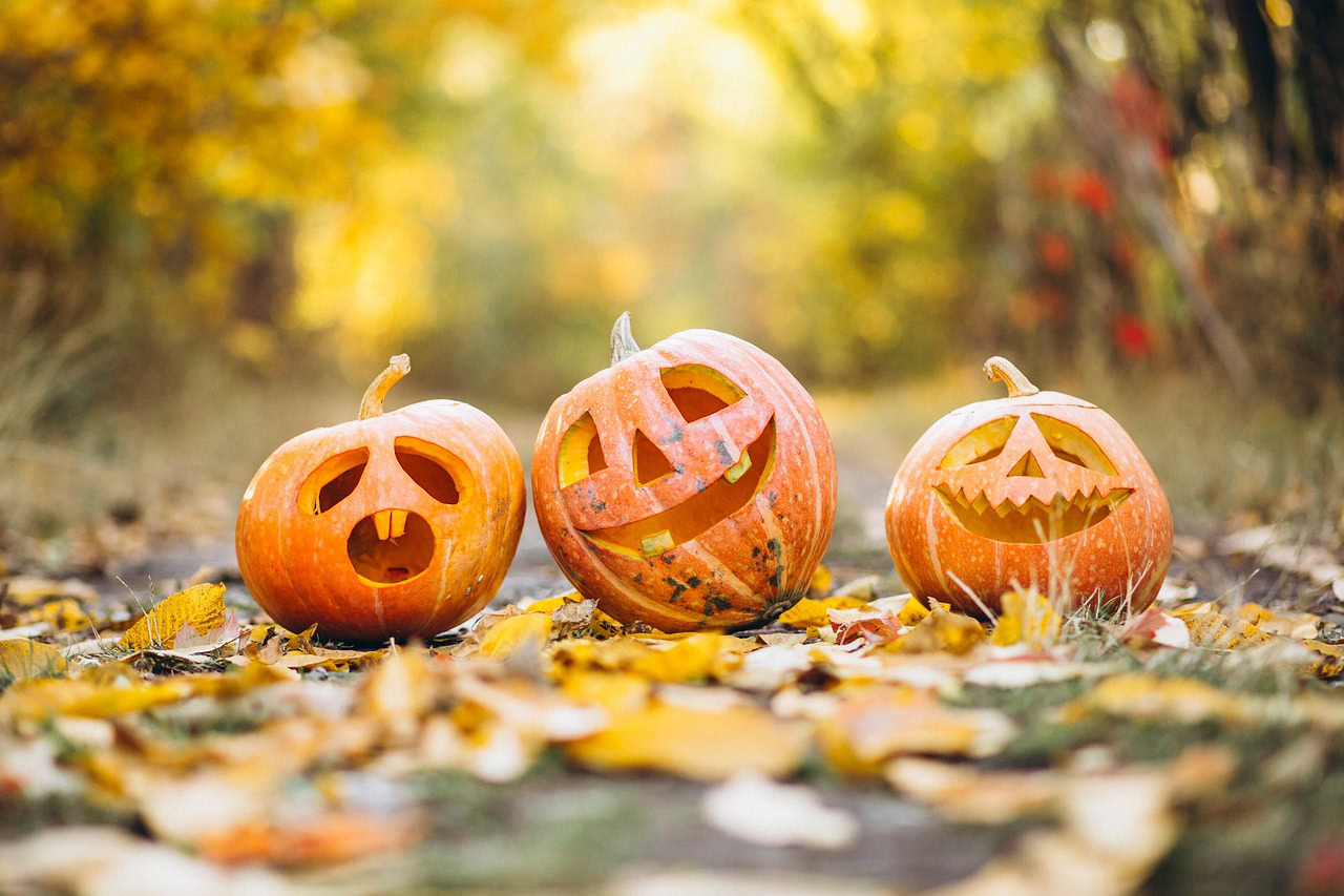 „Pumpkin Smash“ akcija na više lokacija u Čikagu: Ekološko rešenje za stare bundeve