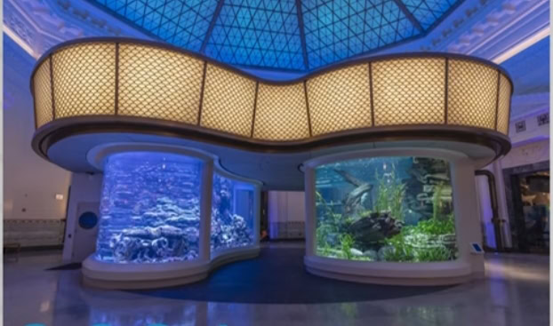 Shedd Aquarium započinje novu eru izložbom „Wonder of Water“