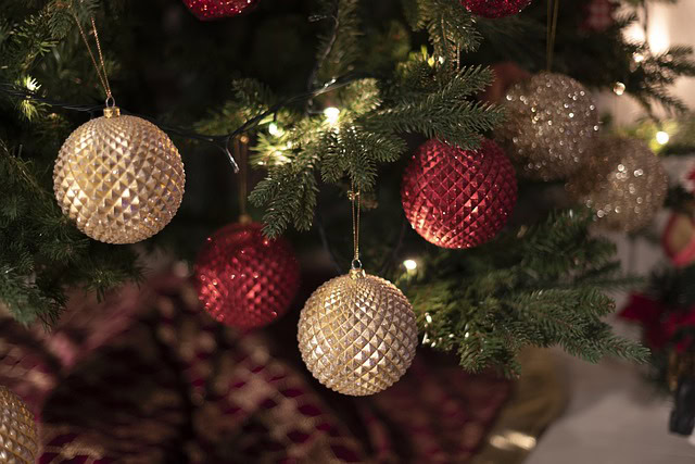 Cena pravih božićnih jelki u Čikagu porasla za 10% u odnosu na prošlu godinu