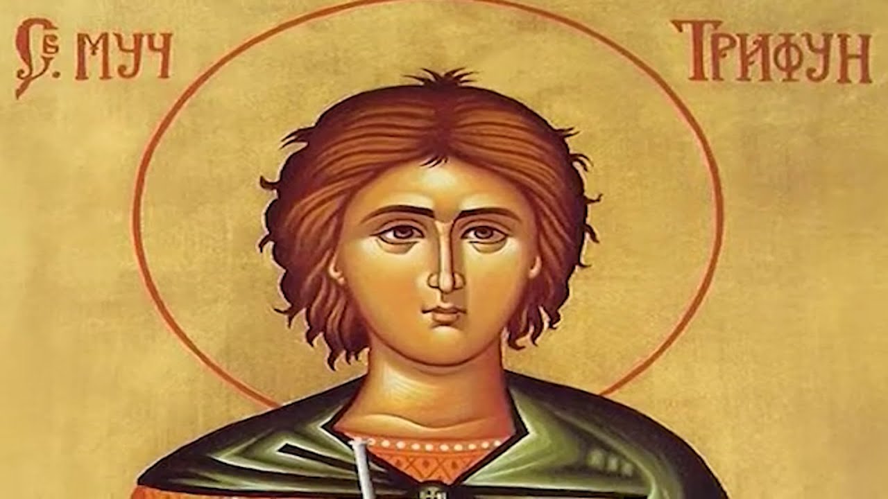 Sveti Trifun: Zašto i kako pravoslavni vernici slave ovaj praznik