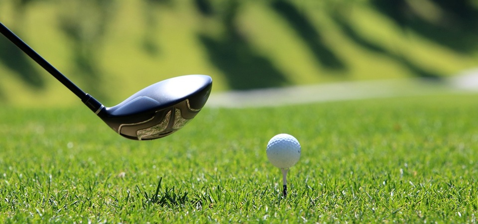 Golf outing & picnic // Tuckaway Golf Club
