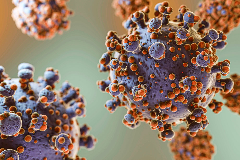 Batut upozorava javnost na hantavirus: 127 slučajeva u Srbiji za deset godina