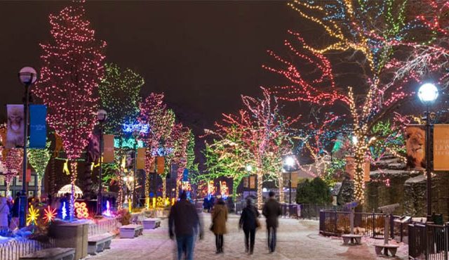 LINCOLN PARK ZOO: UŽIVAJTE U PRAVOM PRAZNIČNOM DUHU