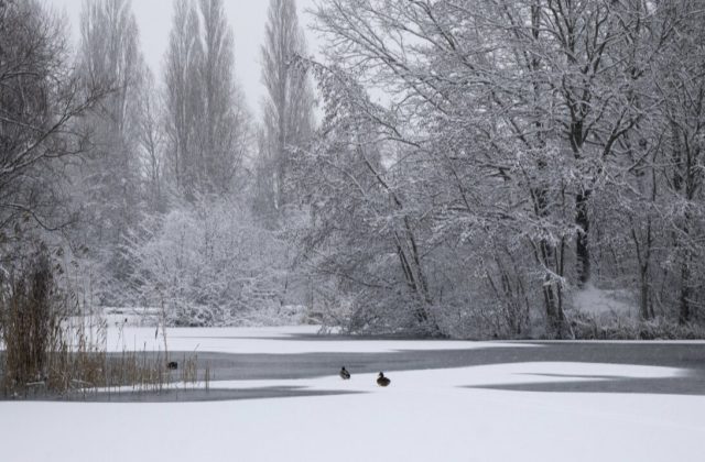 Kakva zima čeka Čikago? Prognoze potpuno različite, a Super El Niño mogao bi sve da promeni