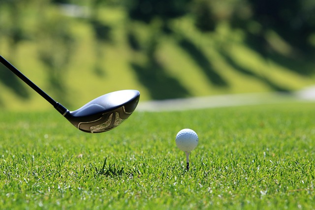 Veliko srpsko okupljanje kod Čikaga: Golf, piknik, domaća hrana i muzika uživo