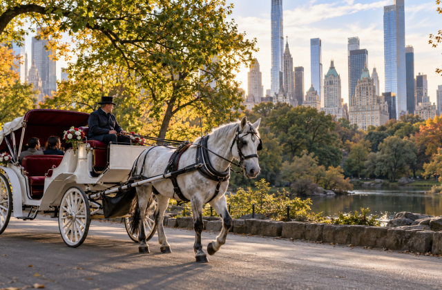 New York ukida konjske kočije u Central Parku: Zabrana stiže 2028, sindikati traže zaštitu radnika